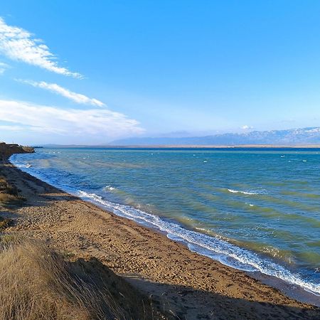 Apartments David - Sabunike Near Nin Привлака Екстер'єр фото